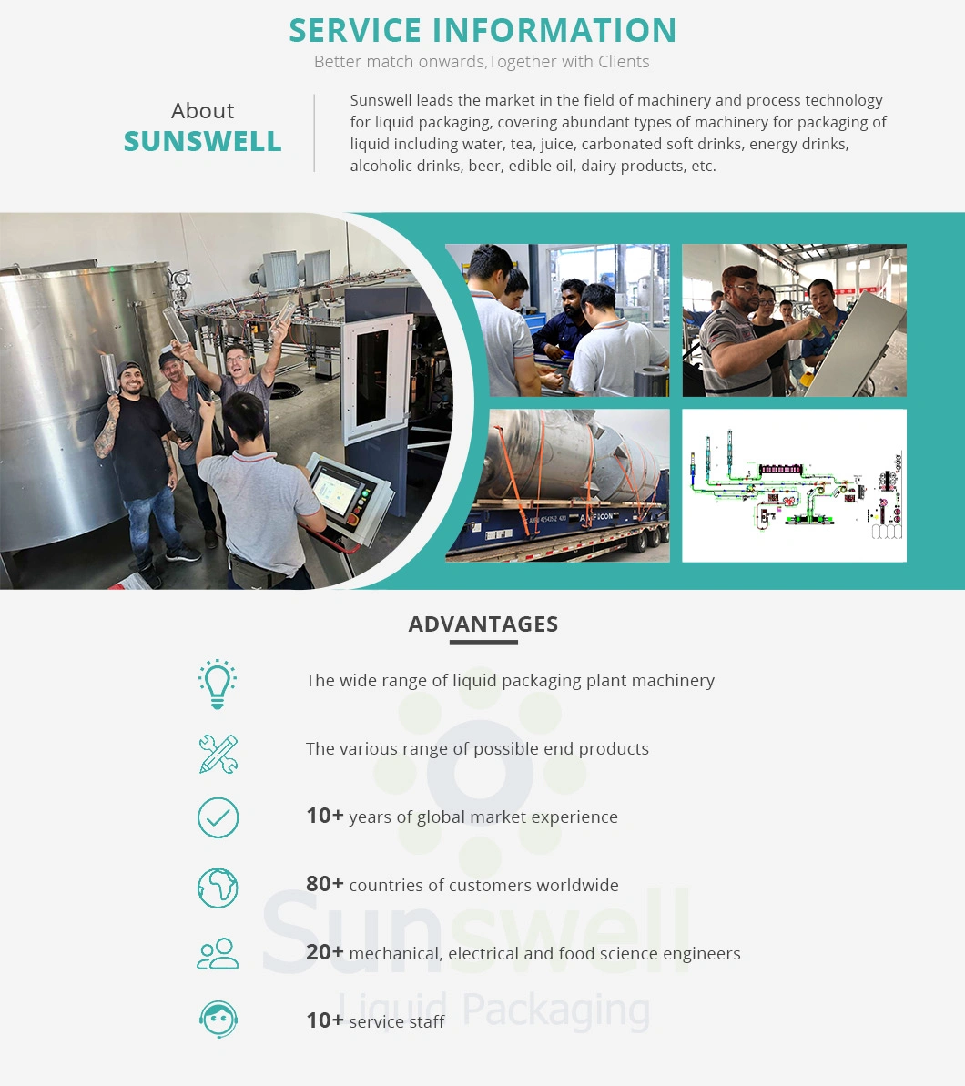 Sunswell Fuel/Gas/Electricity Boiler